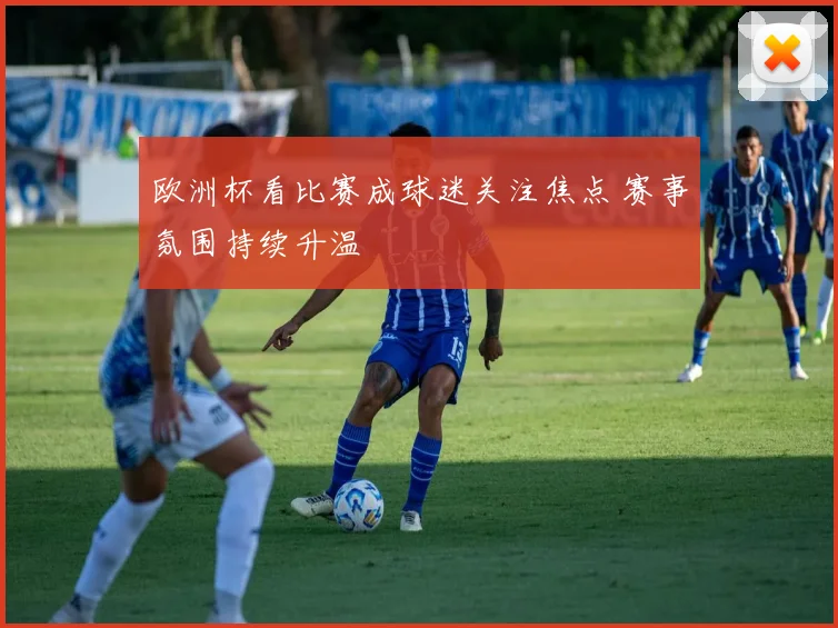 欧洲杯看比赛成球迷关注焦点 赛事氛围持续升温