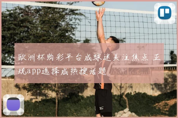 欧洲杯购彩平台成球迷关注焦点 正规app选择成热搜话题