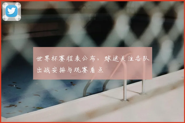 世界杯赛程表公布,球迷关注各队出战安排与观赛看点
