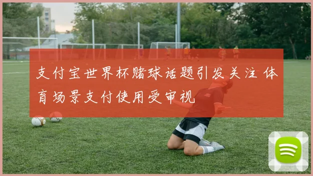 支付宝世界杯赌球话题引发关注 体育场景支付使用受审视
