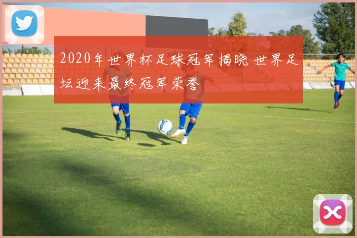 2020年世界杯足球冠军揭晓 世界足坛迎来最终冠军荣誉