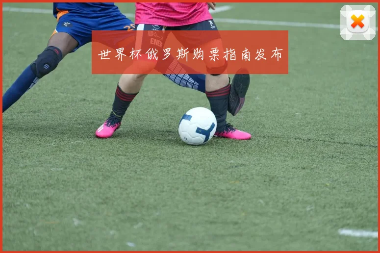 世界杯俄罗斯购票指南发布