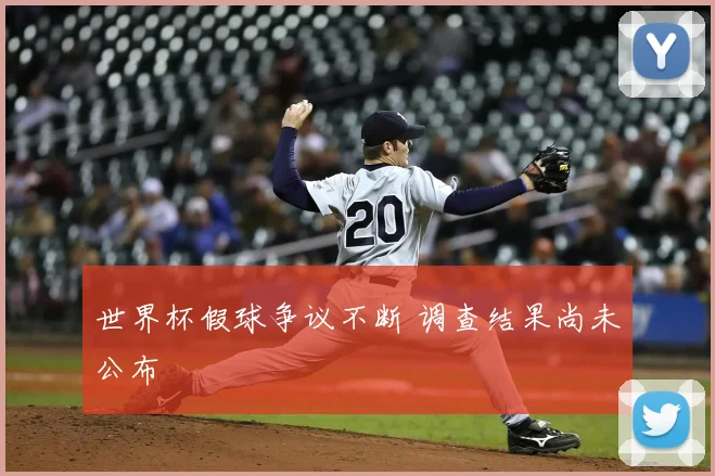 世界杯假球争议不断 调查结果尚未公布