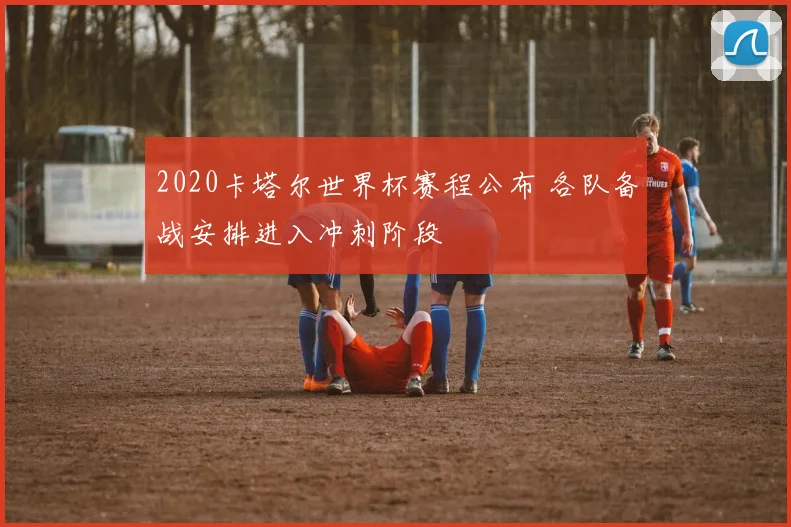 2020卡塔尔世界杯赛程公布 各队备战安排进入冲刺阶段