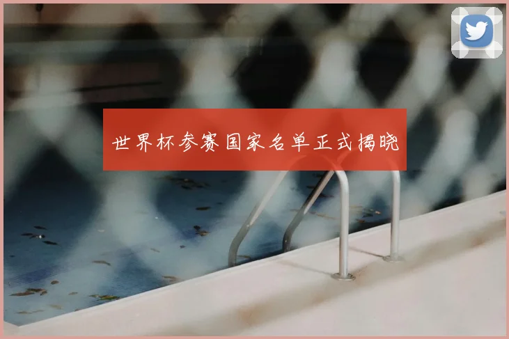 世界杯参赛国家名单正式揭晓